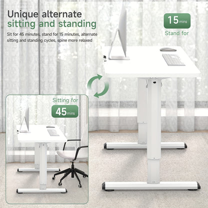 DRIPEX Adjustable Height Electric Standing Desk
