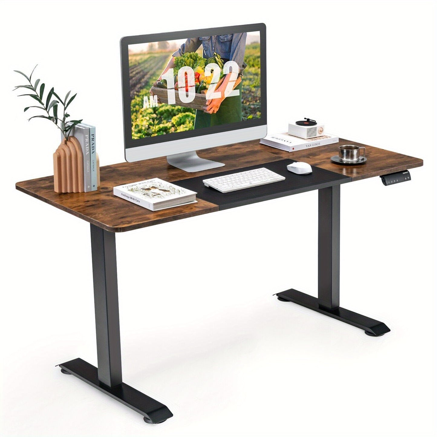 GOFLAME Adjustable Height Electric Standing Desk